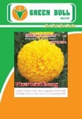 marigold seed เมล็ดพันธุ์ดาวเรือง ตรากรีนบูล hạt giống hoa cúc Vạn thọ Green Bull Brand