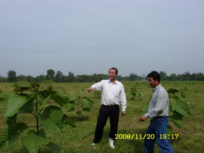 Leading Private AgroForestry Management System Tagoo Thailand Laos Cambodia