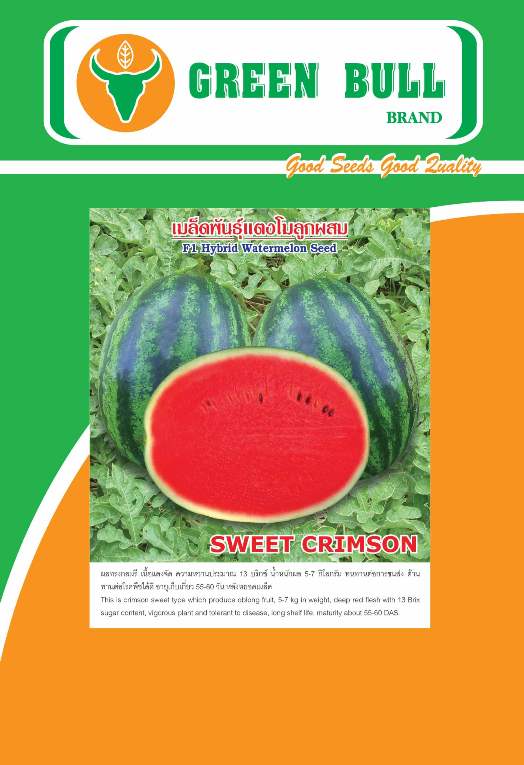 hat giong dau hau lai F1 Thai Lan,紾ѹᵧ,watermelon seeds,Green Bull 84
