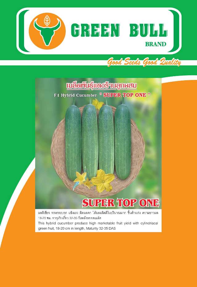 hat giong dau leo lai F1 Thai Lan,紾ѹᵧ,cucumber seeds,Seven 99
