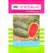 hat giong dua hau,Hirock 04,紾ѹᵧ,watermelon seed,advance seeds,ҵѹ鹡,www.grand-biz.com